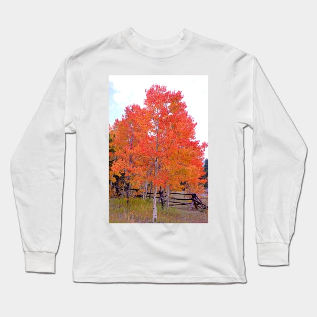 Colorado Aspens Study 33 Long Sleeve T-Shirt by bobmeyers